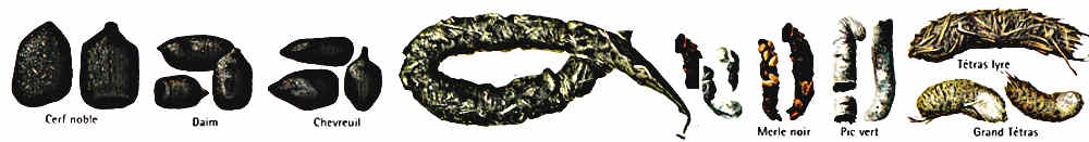 Permaculture générale