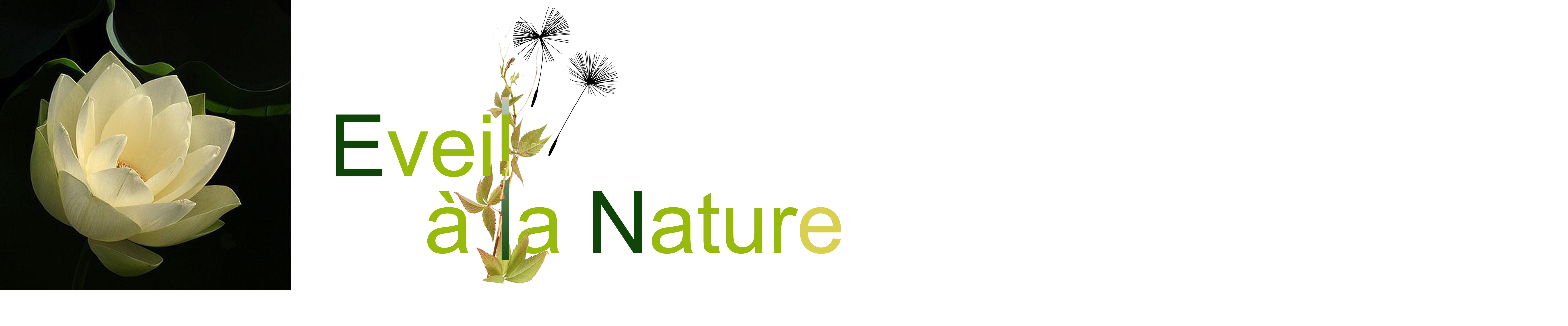 Site d'éveil à la Nature