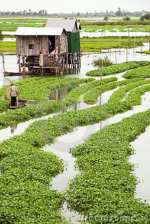 Liseron Eau Culture 3